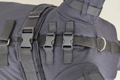 PXL_20241027_081854313