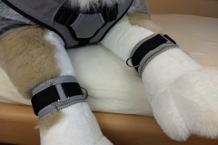 IMG_20220823_092652927