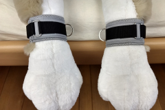 IMG_20220823_092835445_HDR