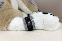 IMG_20220823_093513062