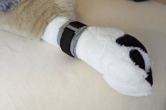 PXL_20221208_125151872