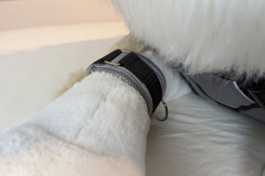 PXL_20221208_125345814