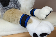 PXL_20221124_154709981.MP_