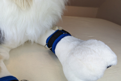 PXL_20221124_154749630