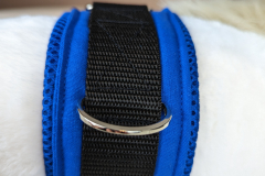 PXL_20230122_184557082