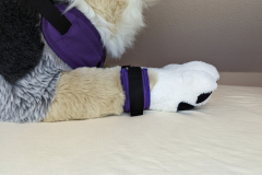 PXL_20221124_163042285.MP_