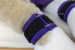 PXL_20221124_163228707