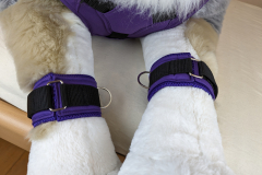 PXL_20221124_163239979