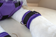 PXL_20221124_163247687