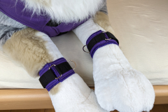 PXL_20221124_163254318