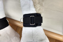 IMG_20220617_193437732_HDR