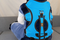 PXL_20241121_164047568