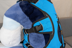 PXL_20241121_164128414