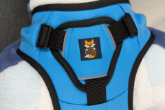 PXL_20241121_164350528