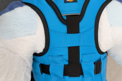 PXL_20241121_164354285