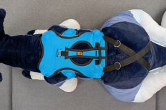 PXL_20241121_165003508