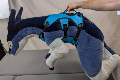 PXL_20241121_165038568.MP_