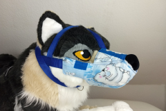 IMG_20220731_120745078