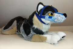 IMG_20220731_120823463