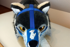 IMG_20220731_120904036