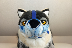 IMG_20220731_120937091