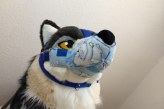 IMG_20220731_120943993