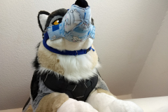 IMG_20220731_120952756