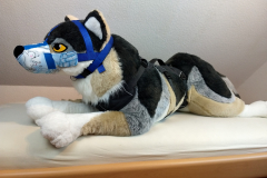 IMG_20220731_121030879