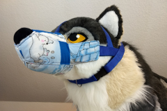 IMG_20220731_121110238