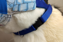 IMG_20220731_121126469