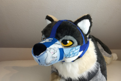 IMG_20220731_121131835