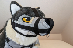 PXL_20221208_124745231