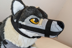 PXL_20221208_124750651