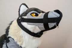 PXL_20221208_124824935