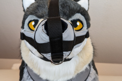 PXL_20221208_124938364