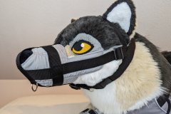 PXL_20221208_125323136