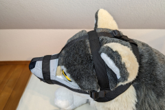 PXL_20221208_125629334