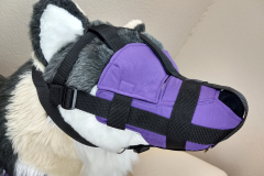 IMG_20220608_171311213_HDR