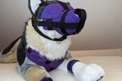 PXL_20221124_170001114