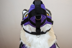 PXL_20221124_170236271