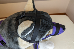 PXL_20221124_170443119