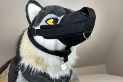 IMG_20220617_191947754_HDR