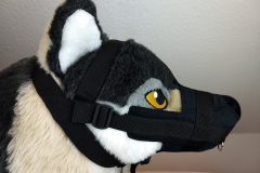 IMG_20220617_192112541