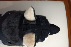 IMG_20220617_192306756