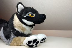 IMG_20220617_192333565