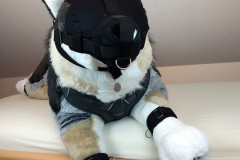 IMG_20220617_194302752