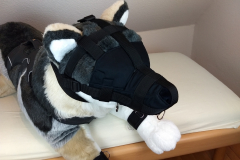 IMG_20220617_194312754