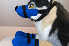 PXL_20230122_181517471