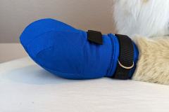 PXL_20230122_181603395