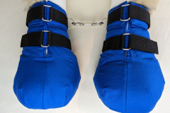 PXL_20230122_181717246